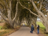 IMG 5432 : 2016, Northern Ireland, The Dark Hedges