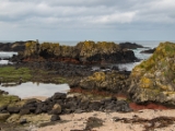 IMG 5712 : 2016, Ballintoy HarbourTrail to Whitepark Bay, Northern Ireland
