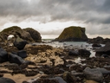 IMG 5810 : 2016, Ballintoy HarbourTrail to Whitepark Bay, Northern Ireland