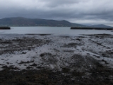 IMG 5348 : 2016, Carlingford, Ireland