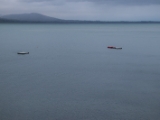 IMG 5366 : 2016, Carlingford, Ireland