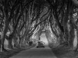 IMG 5436 : 2016, Northern Ireland, The Dark Hedges