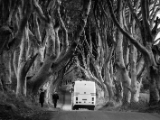 IMG 5477 : 2016, Northern Ireland, The Dark Hedges