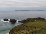 IMG 5606 : 2016, Carrick-a-Rede Rope Bridge