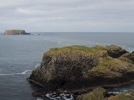 IMG 5646-Pano : 2016, Carrick-a-Rede Rope Bridge, Causeway Coast, Northern Ireland