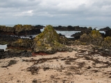 IMG 5710 : 2016, Ballintoy HarbourTrail to Whitepark Bay, Northern Ireland