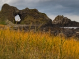 IMG 5737 : 2016, Ballintoy HarbourTrail to Whitepark Bay, Northern Ireland