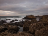 IMG 6001 : 2016, Giants Causeway, Northern Ireland