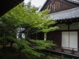 20130806-IMG 1031 : Japan, Kyoto, Shrine, Temple