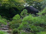 20130808-IMG 1774 : Arashiyama, Bamboo Grove, Japan, Kyoto, Shrine, Temple