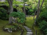 20130808-IMG 1800 : Arashiyama, Bamboo Grove, Japan, Kyoto, Shrine, Temple