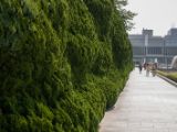20130813-IMG 3168 : Hiroshima, Japan
