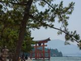 20130814-IMG 3345 : Hiroshima, Japan, Miyajima