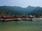 20130814-IMG 3383 : Hiroshima, Japan, Miyajima