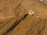 20150913-IMG 0131 : Ladakh, Leh