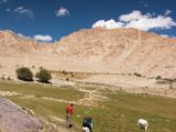IMG 0095 : Ladakh