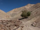IMG 0223 : Ladakh