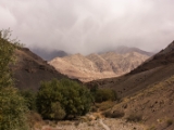 IMG 0397 : Ladakh
