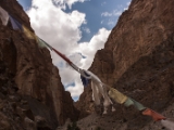 IMG 0399 : Ladakh