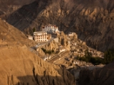 IMG 0889 : Ladakh