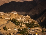 IMG 0907 : Ladakh