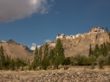 IMG 1206 : Ladakh