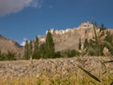 IMG 1209 : Ladakh