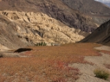 IMG 1268 : Ladakh