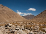 IMG 1670 : Ladakh
