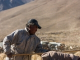 IMG 2394 : Ladakh