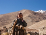 IMG 2418 : Ladakh