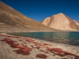 IMG 2504 : Ladakh