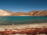 IMG 2505 : Ladakh
