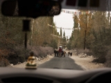IMG 8816 : Ladakh