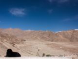 20150914-IMG 0452 : Ladakh, Shey, Tikhe