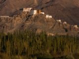 20150914-IMG 9866 : Ladakh, Shey