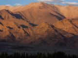 20150914-IMG 9896 : Ladakh, Shey