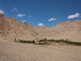 IMG 0105 : Ladakh