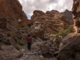 IMG 0522 : Ladakh