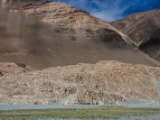 IMG 1837 : Ladakh
