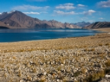 IMG 1986 : Ladakh