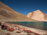 IMG 2513 : Ladakh