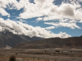 IMG 9176 : Indien, Ladakh, Nubra Valley