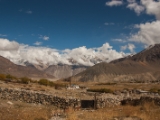 IMG 9367 : Indien, Ladakh, Nubra Valley