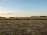 20190831-IMG 0418 : 2019, Mongolei, Mongolia