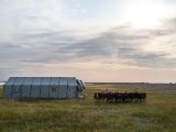 20190901-IMG 0457 : 2019, Mongolei, Mongolia