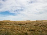 20190901-IMG 0562 : 2019, Mongolei, Mongolia