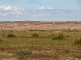 20190901-IMG 0590 : 2019, Mongolei, Mongolia