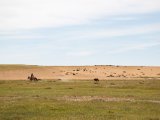 20190901-IMG 0611 : 2019, Mongolei, Mongolia