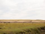20190901-IMG 0612 : 2019, Mongolei, Mongolia